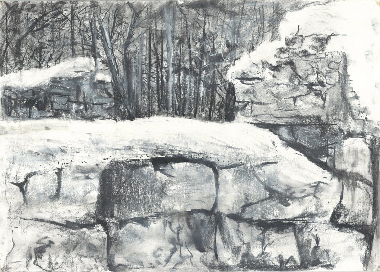 Wall in the Woods Osmotherley od Vincent Alexander Booth