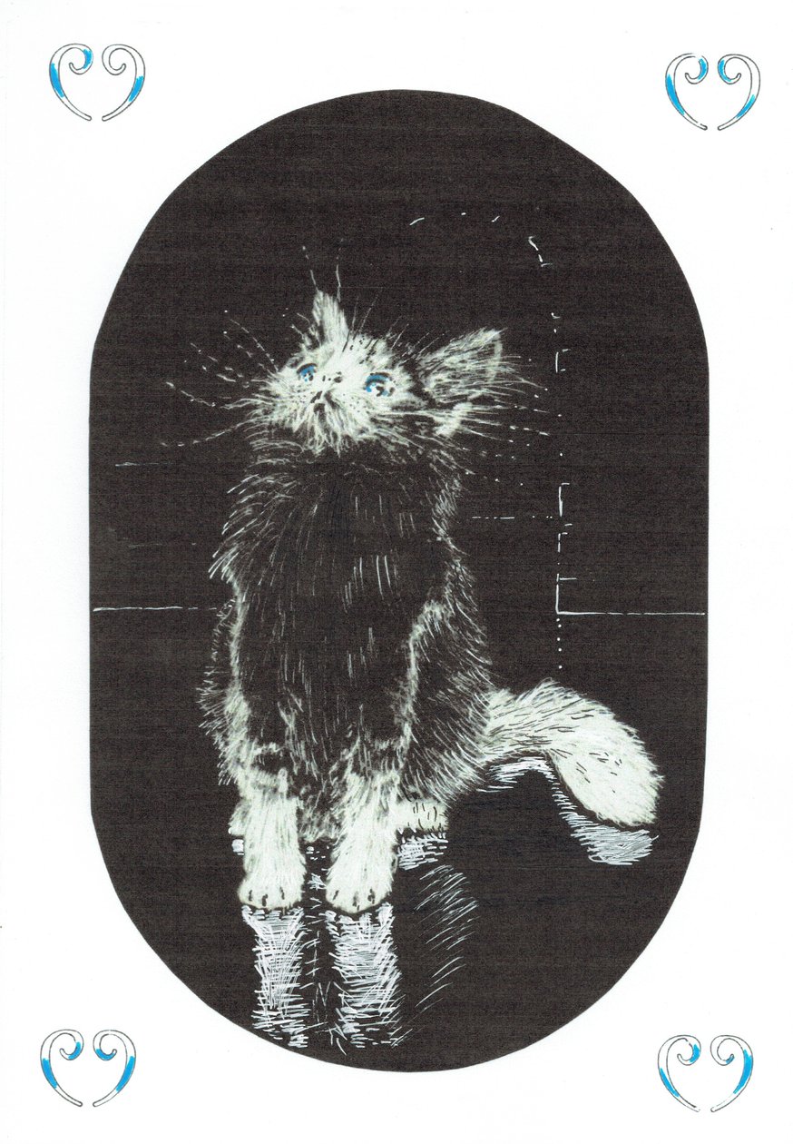 strana 1, Zámek v lese Findhorn, 2006, (tuš na papíře) od Vincent Alexander Booth