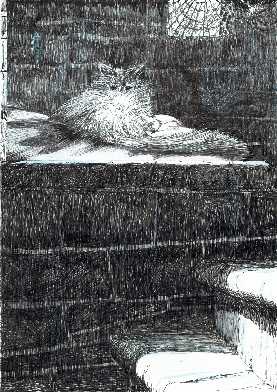 strana 21, Zámek v lese Findhorn, 2006, (tuš na papíře) od Vincent Alexander Booth