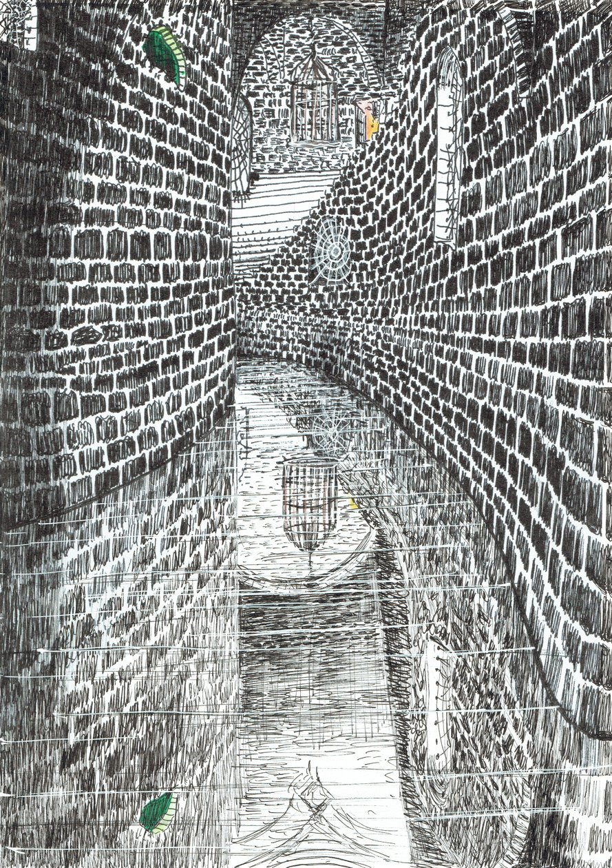 strana 35, Zámek v lese Findhorn, 2006, (inkoust na papíře) od Vincent Alexander Booth