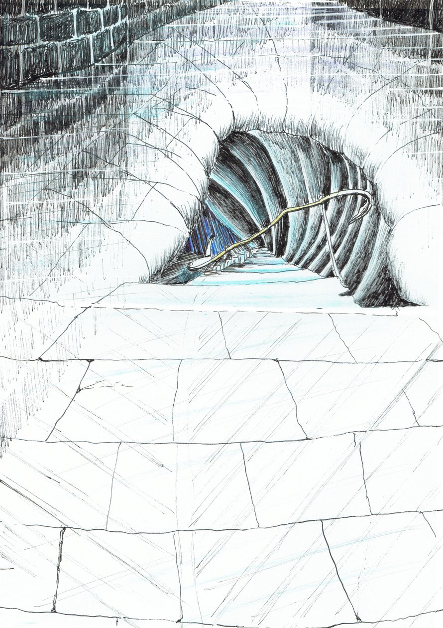 strana45, Hrad v lese Findhorn, 2006, (tuš na papíře) od Vincent Alexander Booth