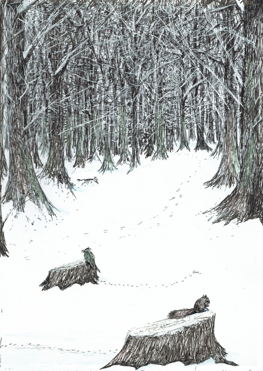 strana 5, Zámek v lese Findhorn, 2006, (tuš na papíře) od Vincent Alexander Booth