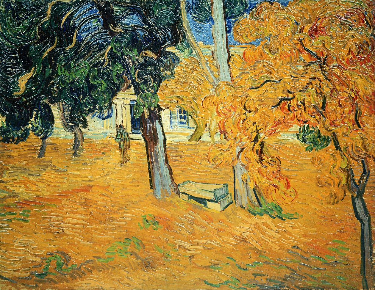 Zahrada v nemocnici Saint Paul v Saint-Rémy, 1889. od Vincent van Gogh