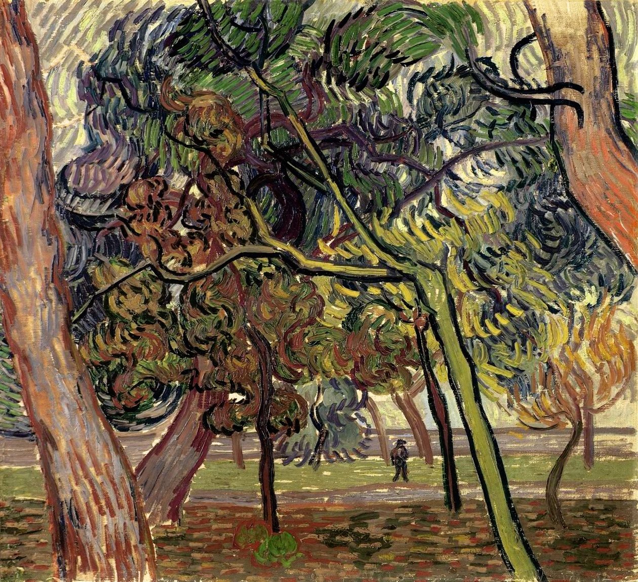 Borovice v zahradě azylu, 1889. od Vincent van Gogh