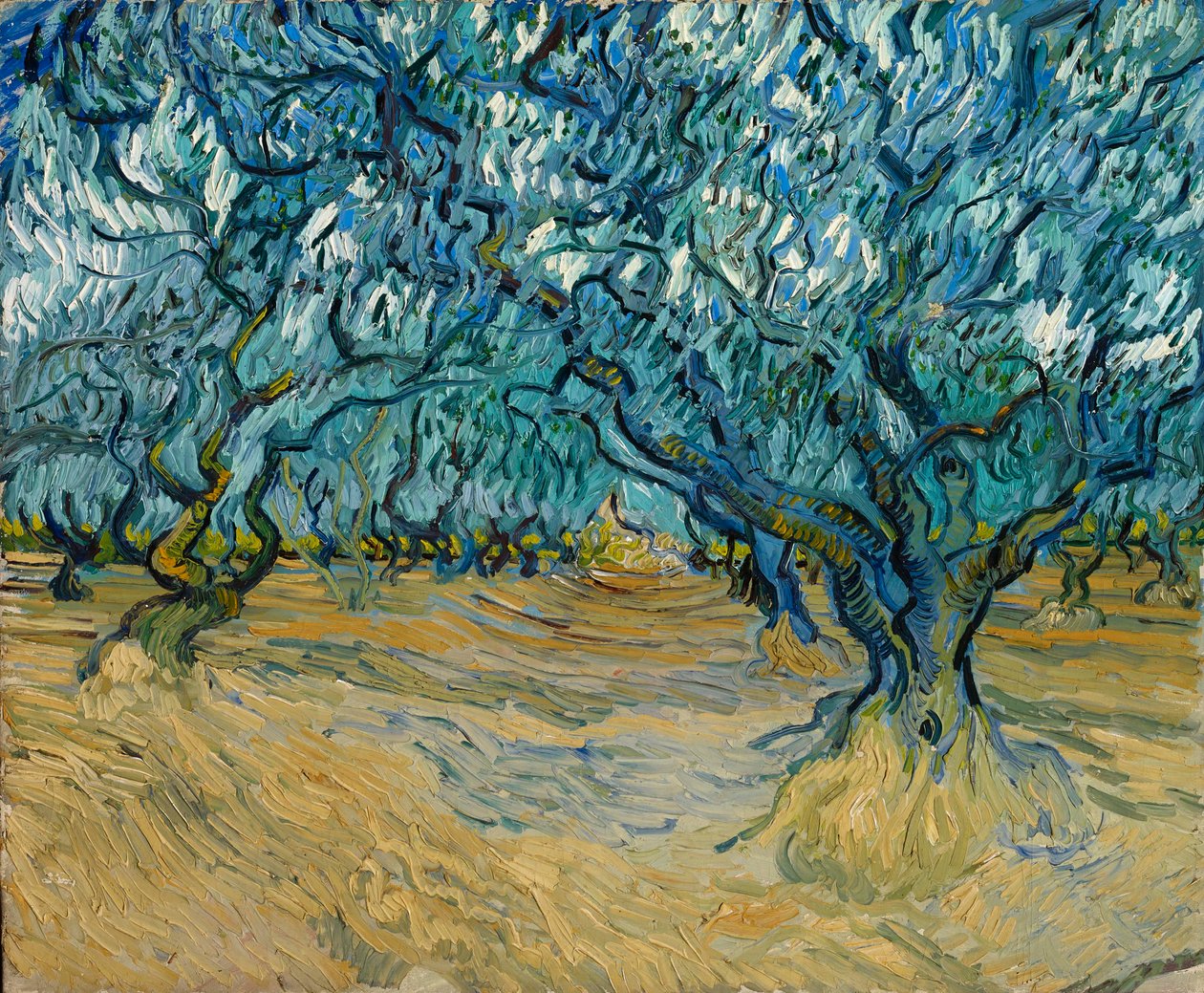 Olivový háj, Saint-Rémy, 1889. od Vincent van Gogh
