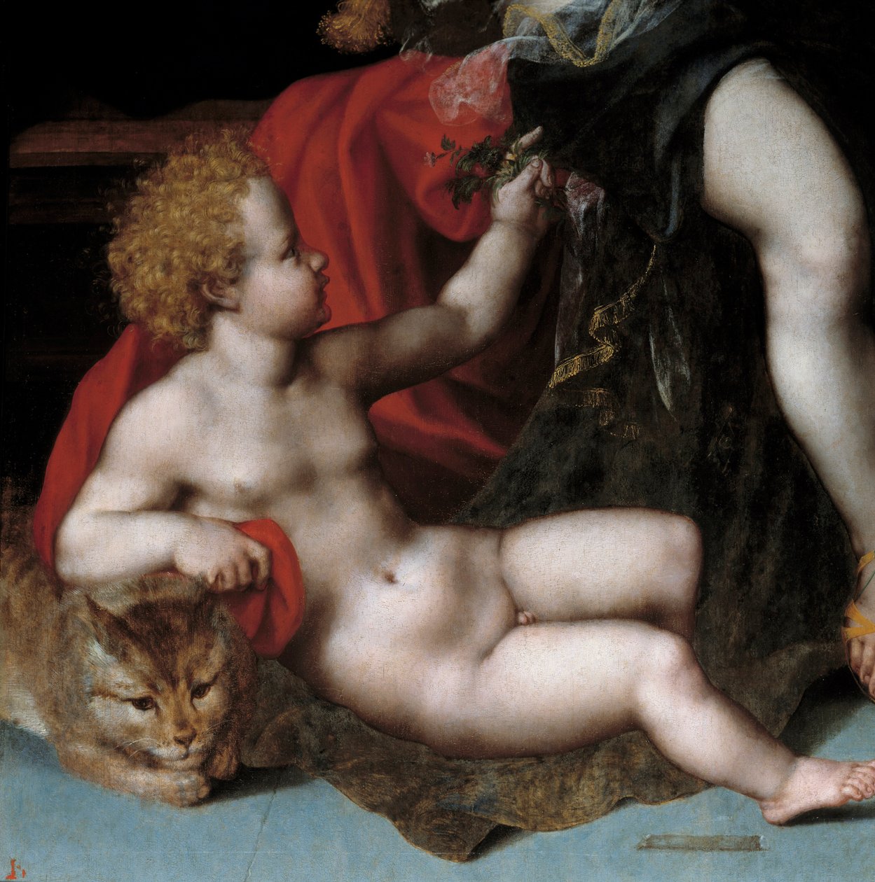 Jupiter v satyru s Antiope a jejími dvojčaty Detail představující jedno z dvojčat s kočkou. Obraz Vincenta Sellaera (asi 1500-1589) 16. století. od Vincent Sellaer