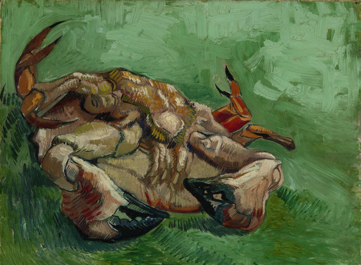 Krab, ležící na zádech, 1889 od Vincent van Gogh