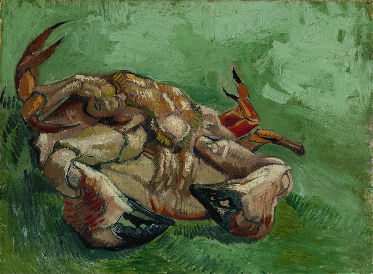 Krab na zádech od Vincent van Gogh