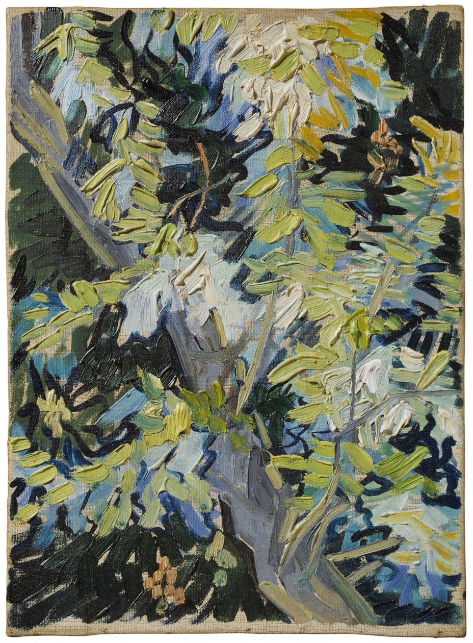 Kvetoucí akácie od Vincent van Gogh