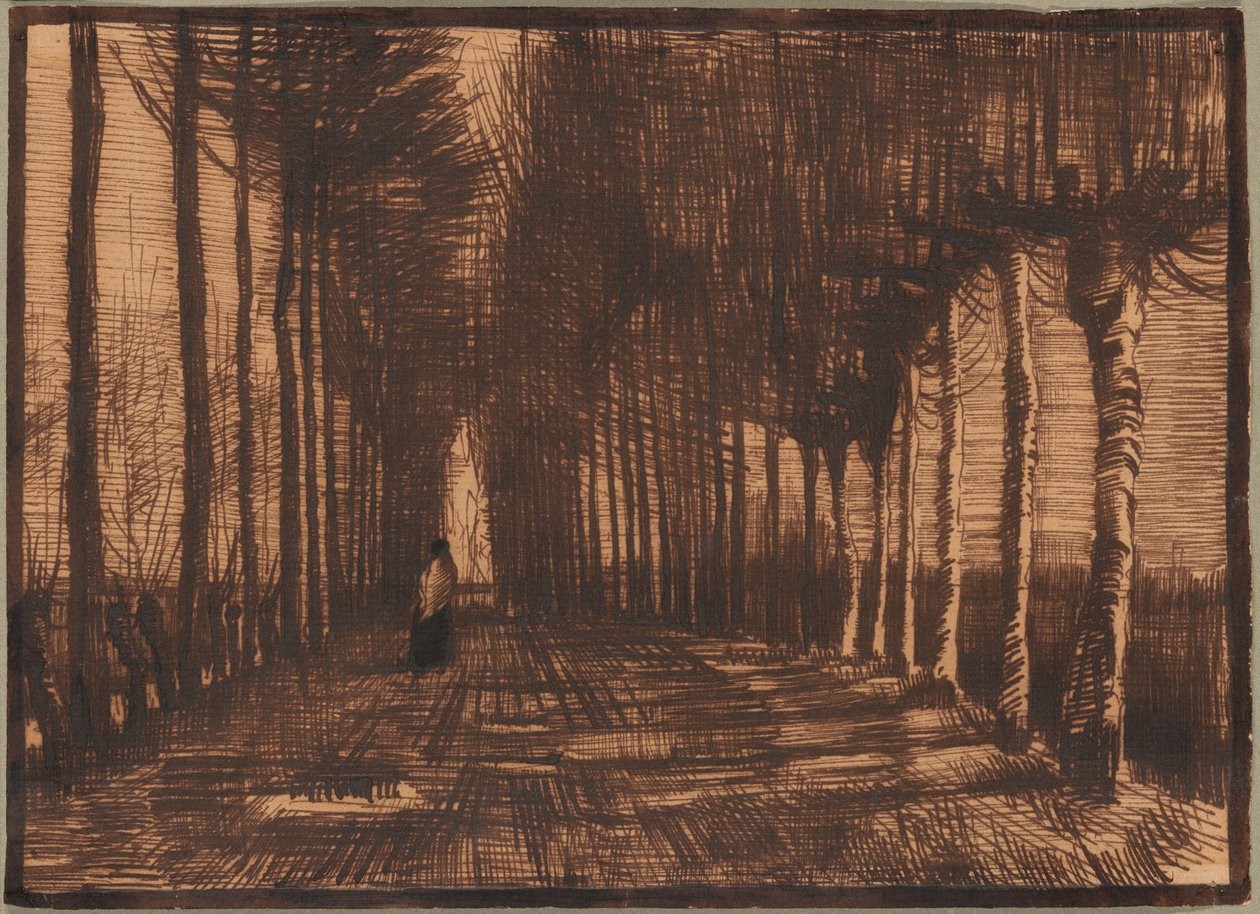 Alej Pollardových bříz a topolů od Vincent van Gogh