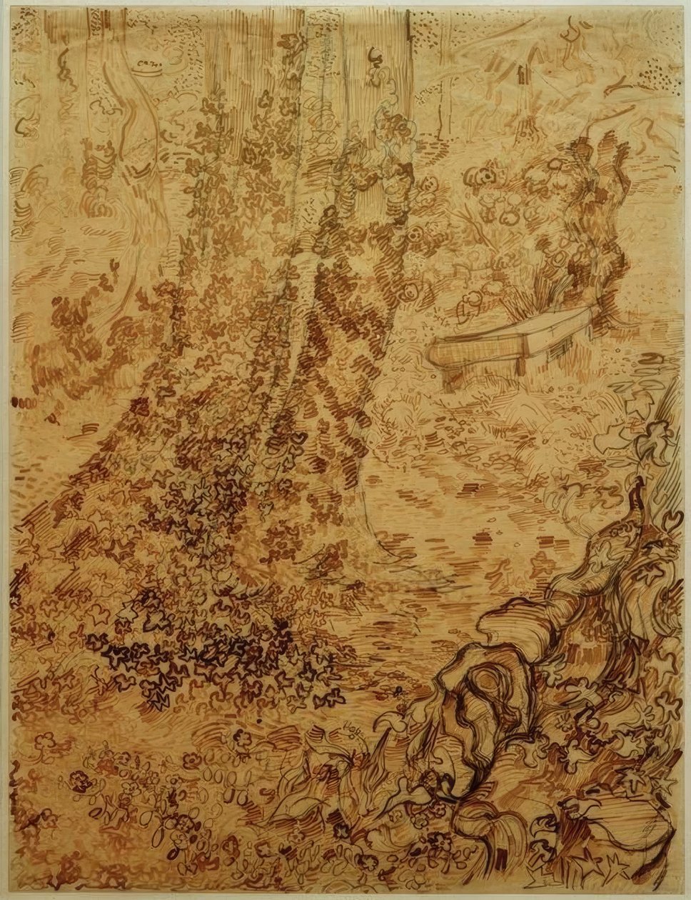 Stromy s břečťanem v zahradě sanatoria od Vincent van Gogh