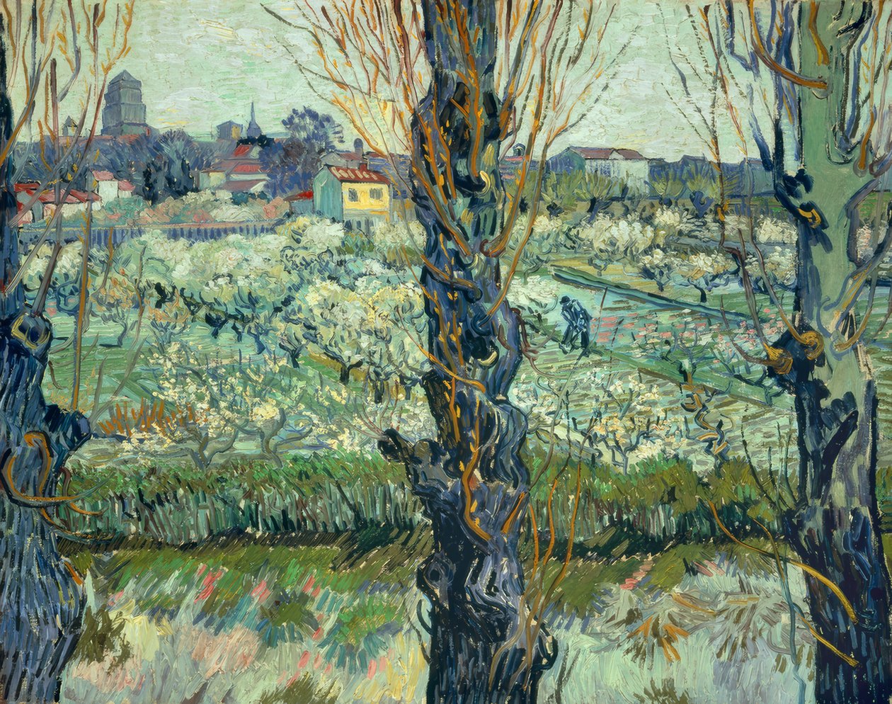 Pohled na Arles od Vincent van Gogh