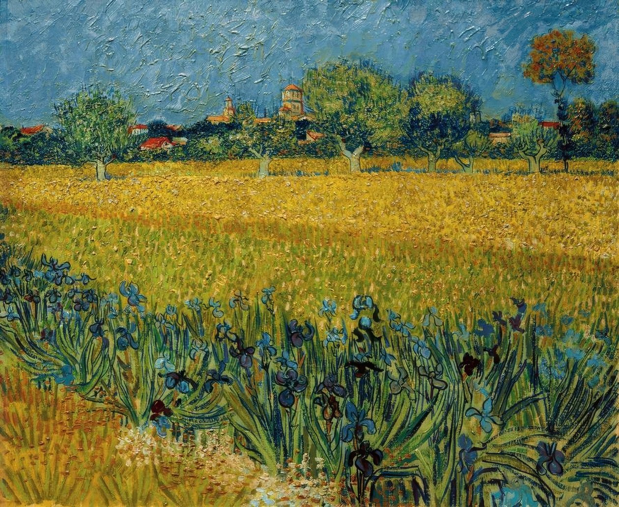 Pohled na Arles s květy iris v popředí od Vincent van Gogh
