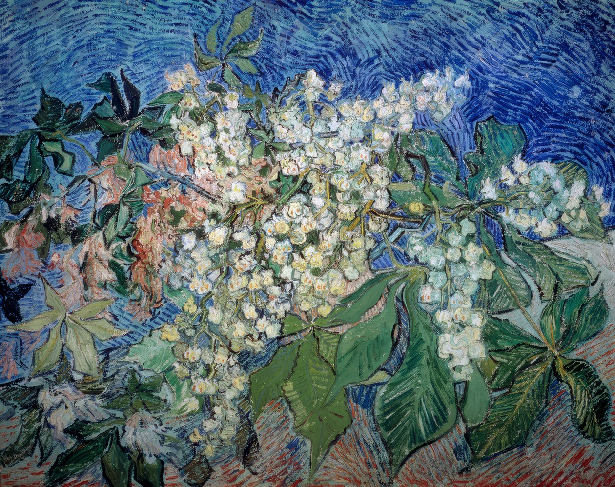 Kvetoucí kaštanové větve od Vincent van Gogh