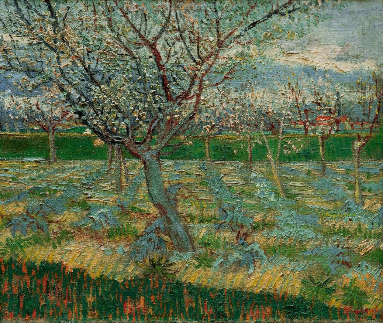 Kvetoucí sad s meruňkami od Vincent van Gogh