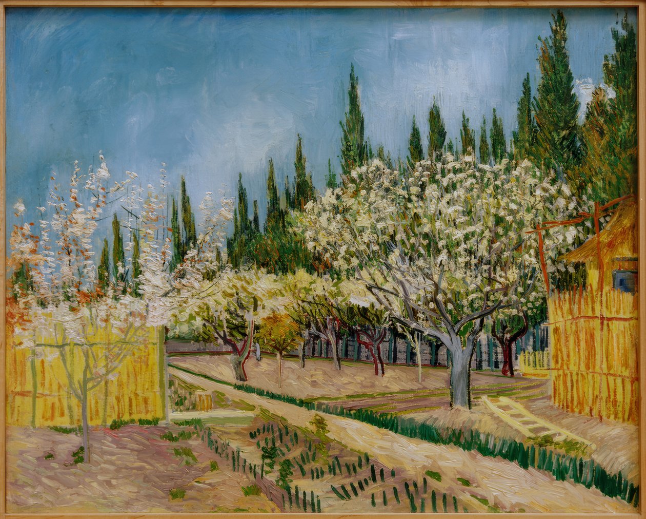 Kvetoucí sad obklopený cypřiši od Vincent van Gogh