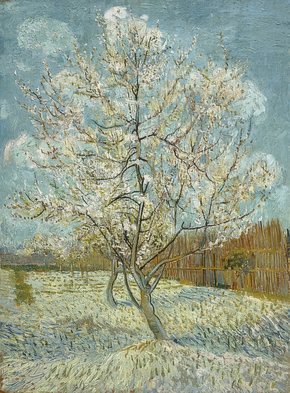 Kvetoucí broskvoň (růžová). Arles, duben-květen 1888 od Vincent van Gogh