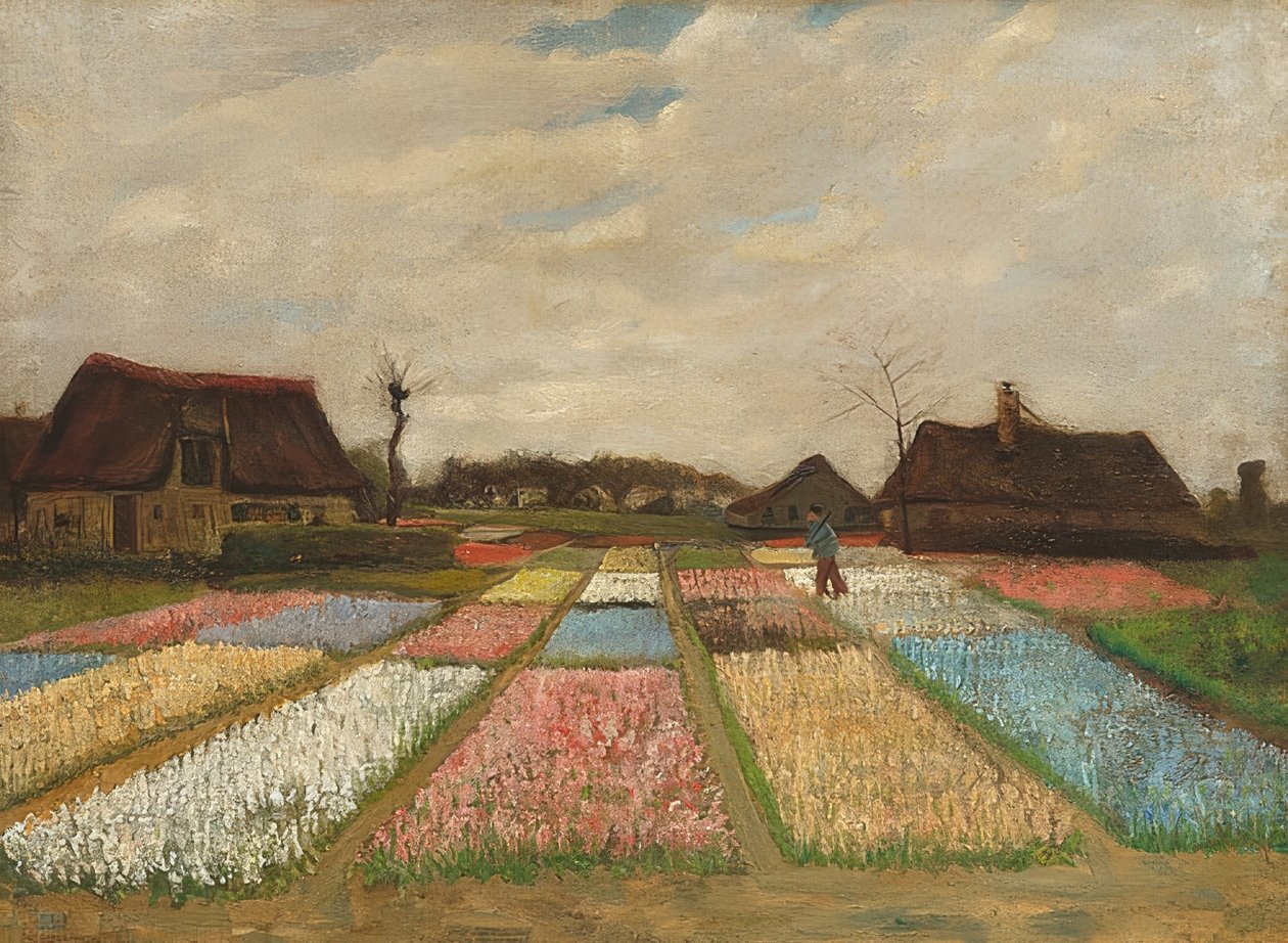 Květinové záhony v Holandsku. Kolem roku 1883 od Vincent van Gogh