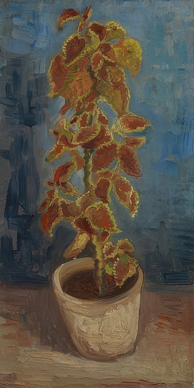 Květináč s barevnou kopřivou. 1886 od Vincent van Gogh