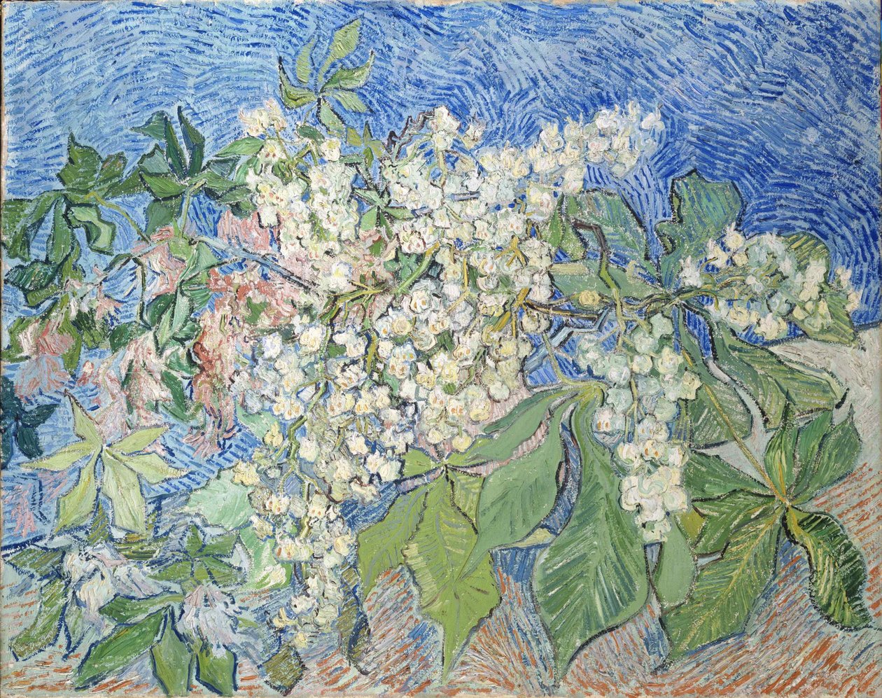 Větve kaštanů v květu, 1890. od Vincent van Gogh