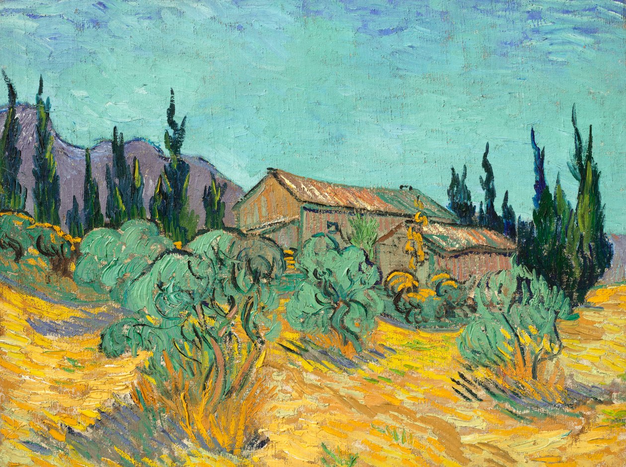 Dřevěné chatrče mezi olivovníky a cypřiši od Vincent van Gogh