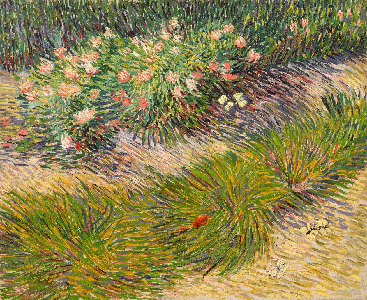 Koutek zahrady s motýly od Vincent van Gogh