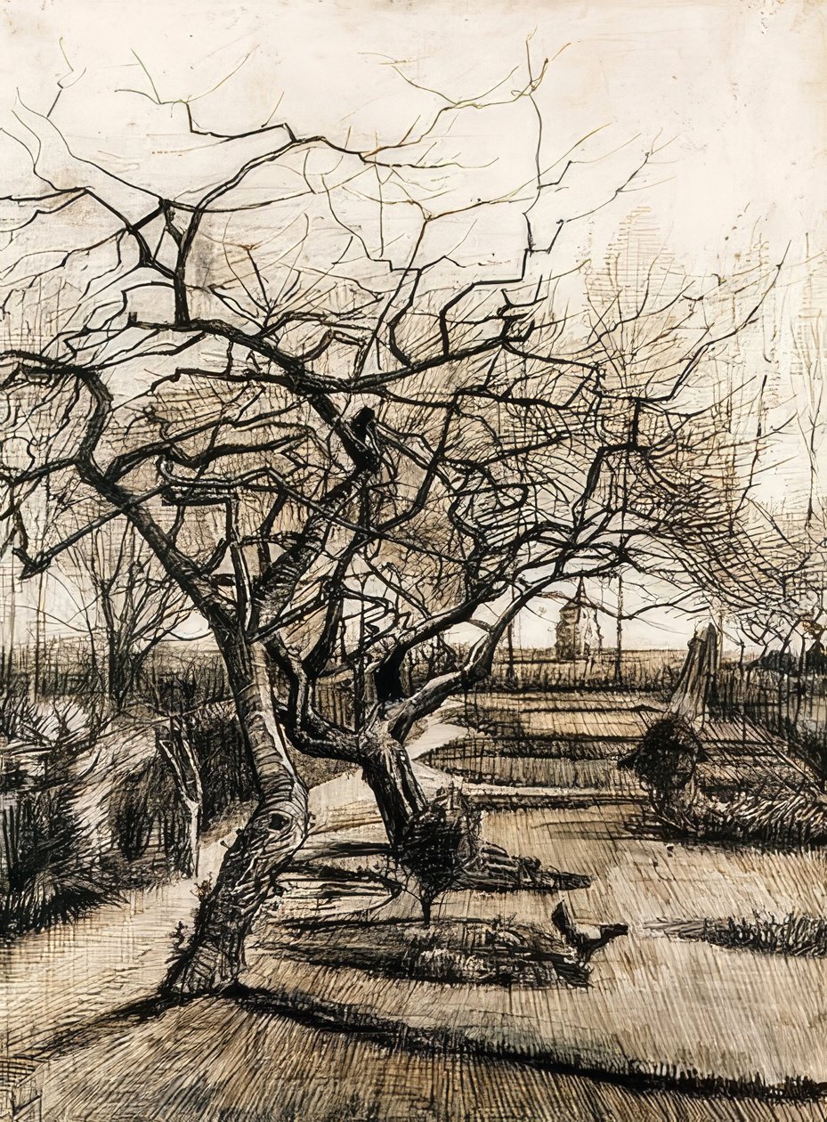 Zahrada fary v Nuenenu. 1884 od Vincent van Gogh