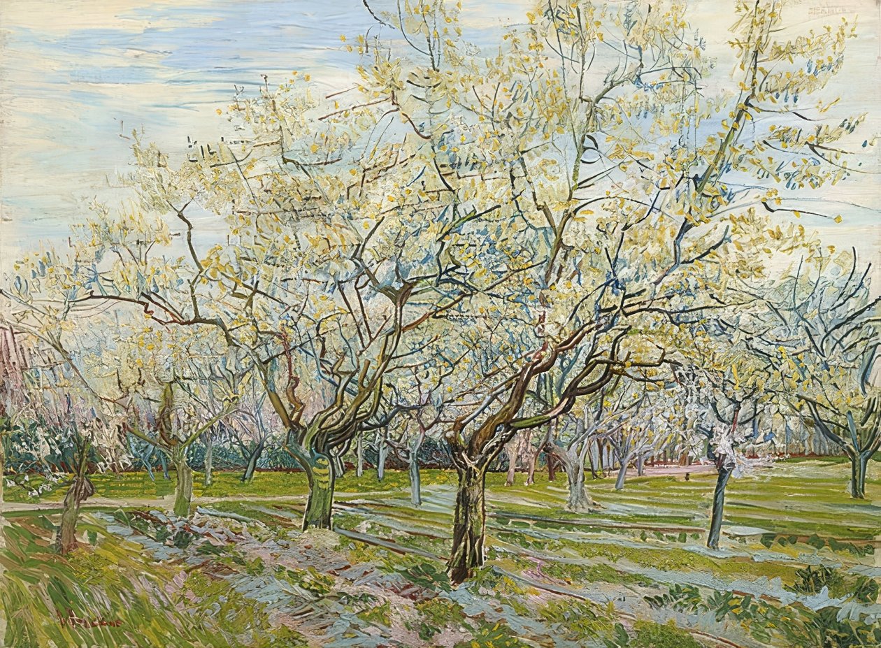 Bílý sad. 1888 od Vincent van Gogh