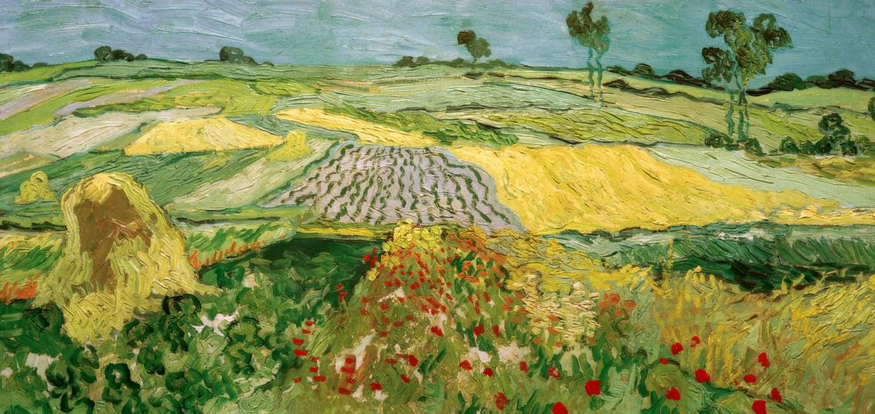 Auvers Plain od Vincent van Gogh