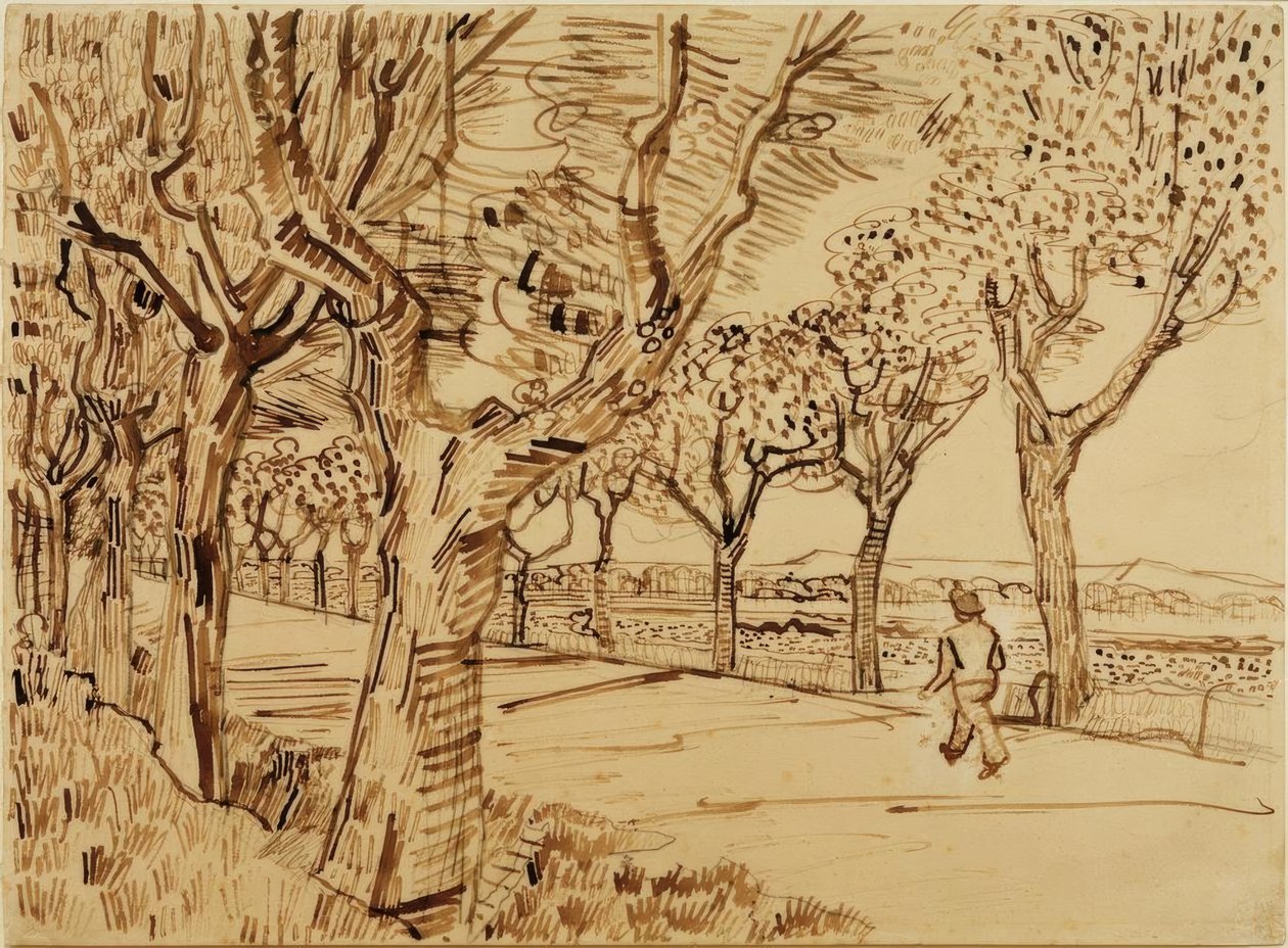 Cesta do Tarasconu od Vincent van Gogh