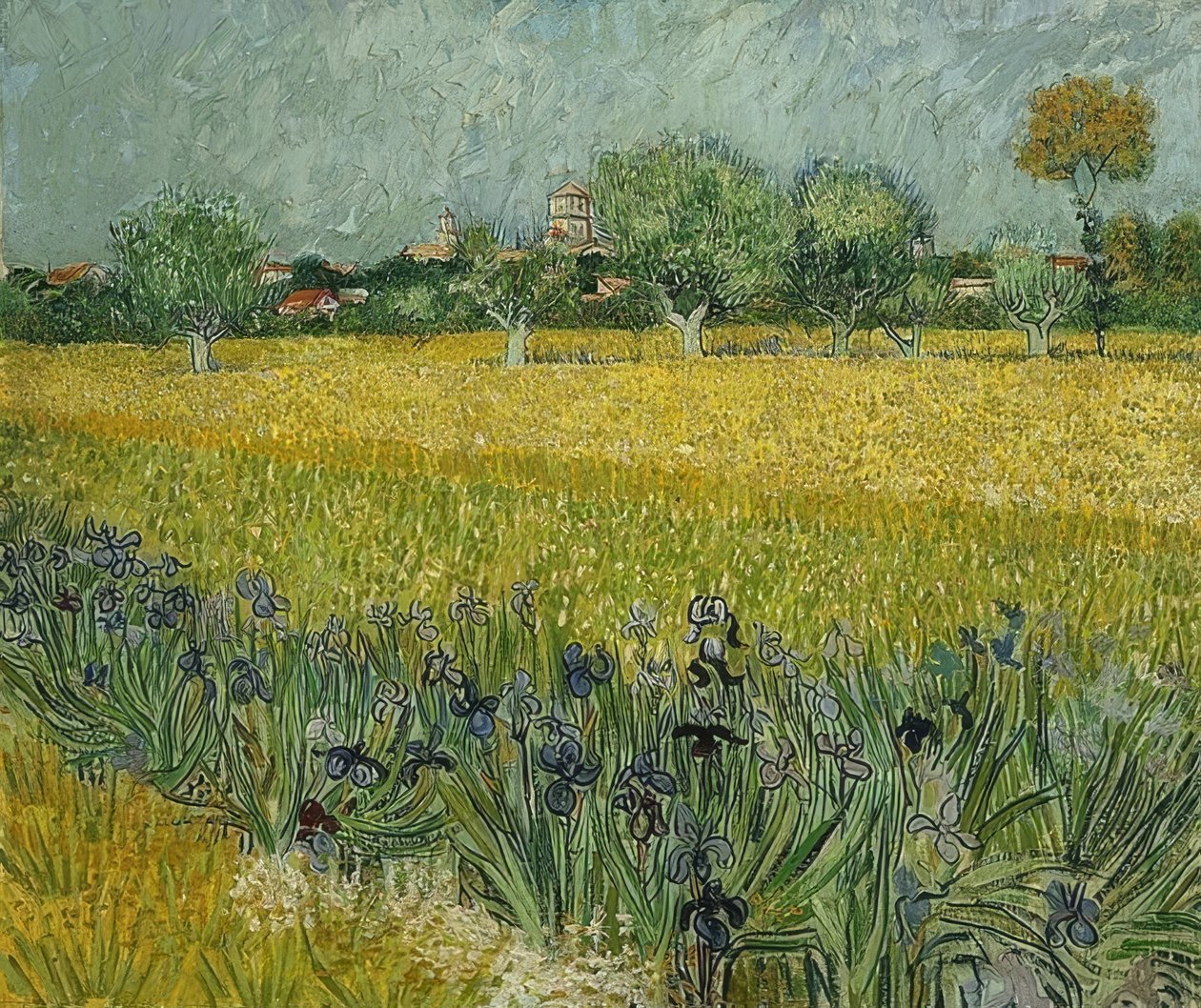 Pole s kosatci poblíž Arles. května 1888 od Vincent van Gogh