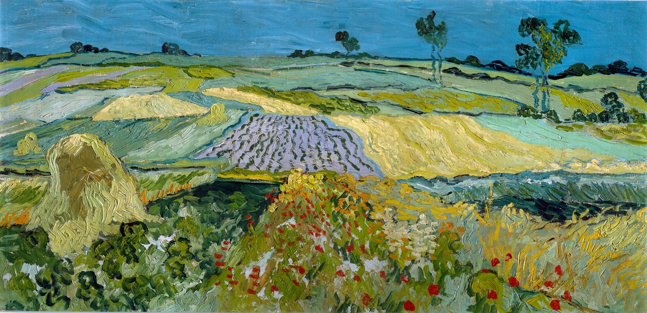  od Vincent van Gogh