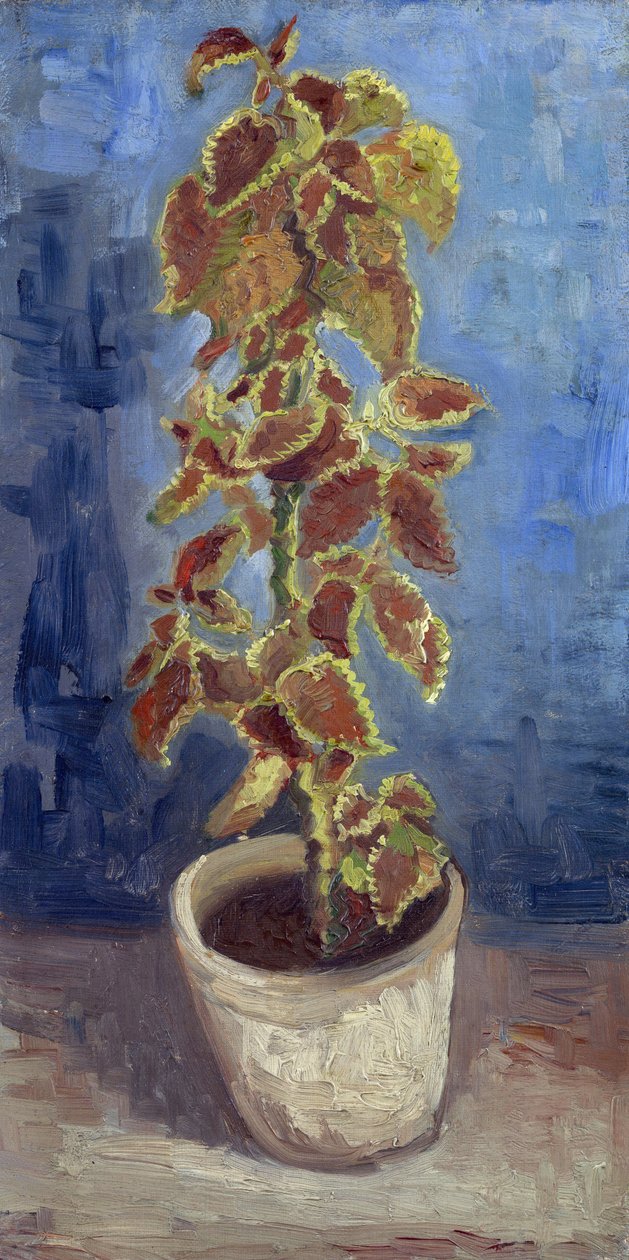 Plamenná kopřiva v květináči par Gogh, Vincent, van (1853-1890). Olej na plátně, rozměr: 42,1x21,9 od Vincent van Gogh