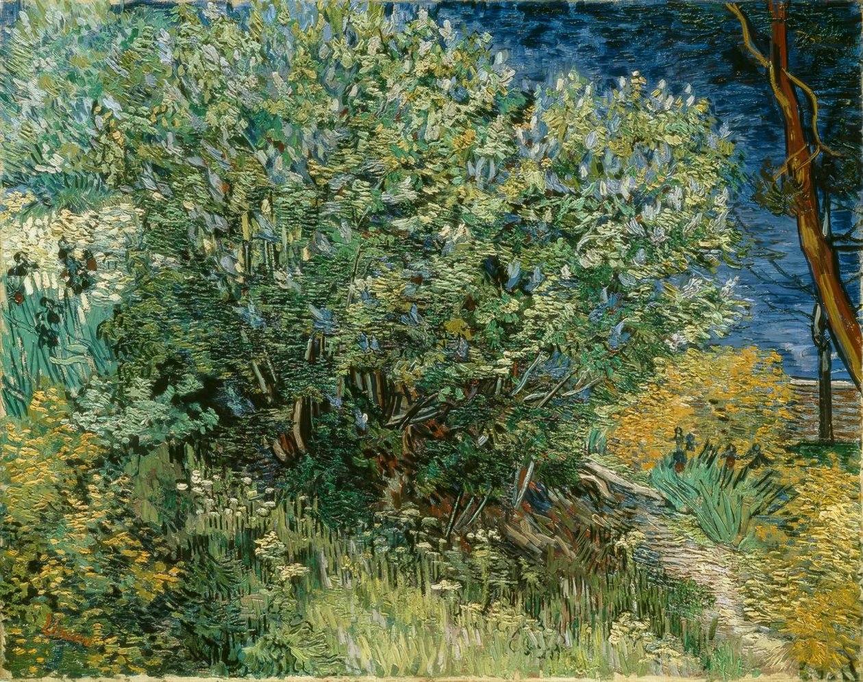 Šeříkový keř od Vincent van Gogh