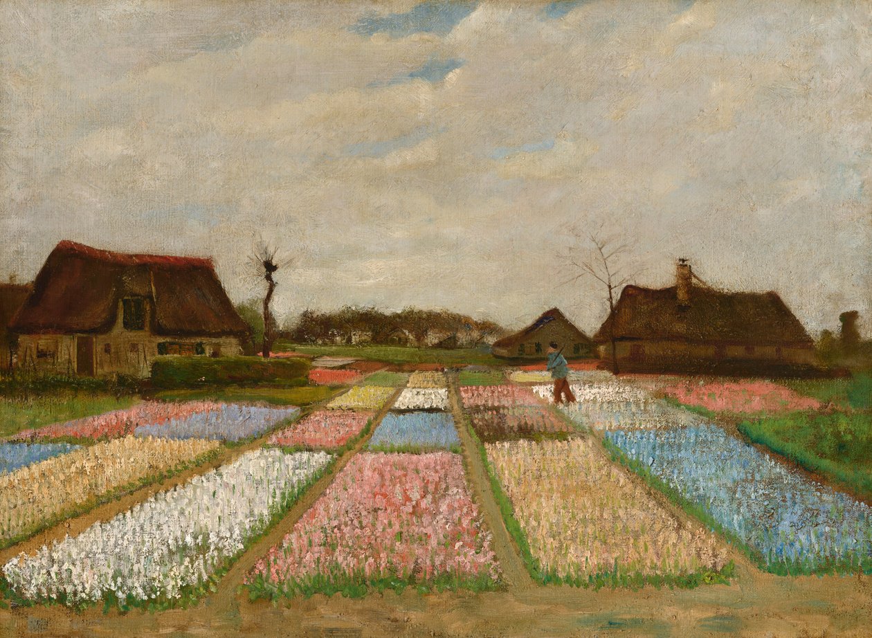 Květinové záhony v Holandsku od Vincent van Gogh