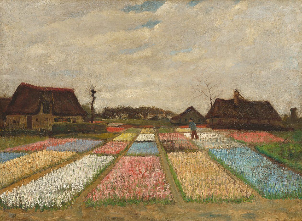 Květinové záhony v Holandsku, kolem roku 1883 (olej na plátně na dřevě) od Vincent van Gogh
