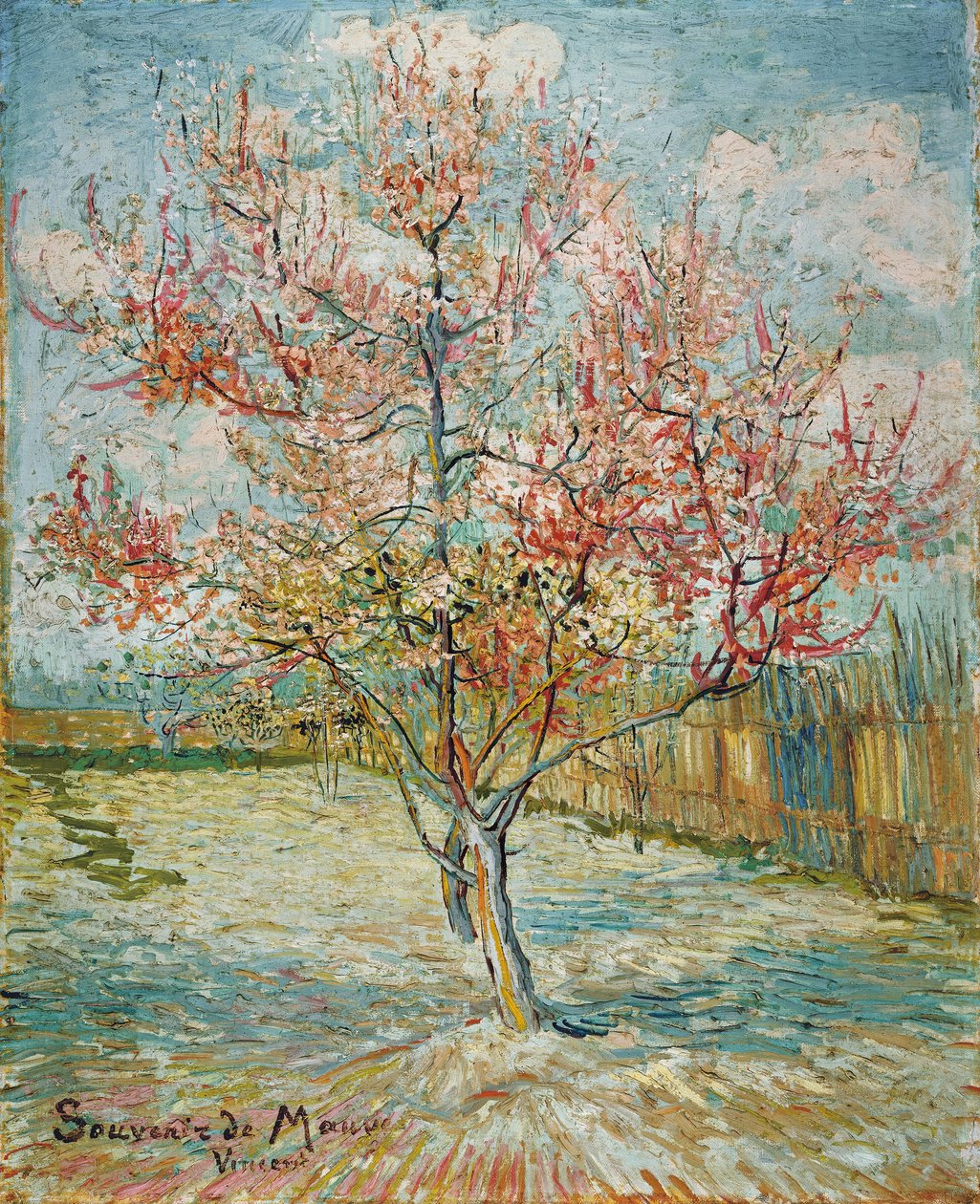 Kvetoucí broskvoň od Vincent van Gogh