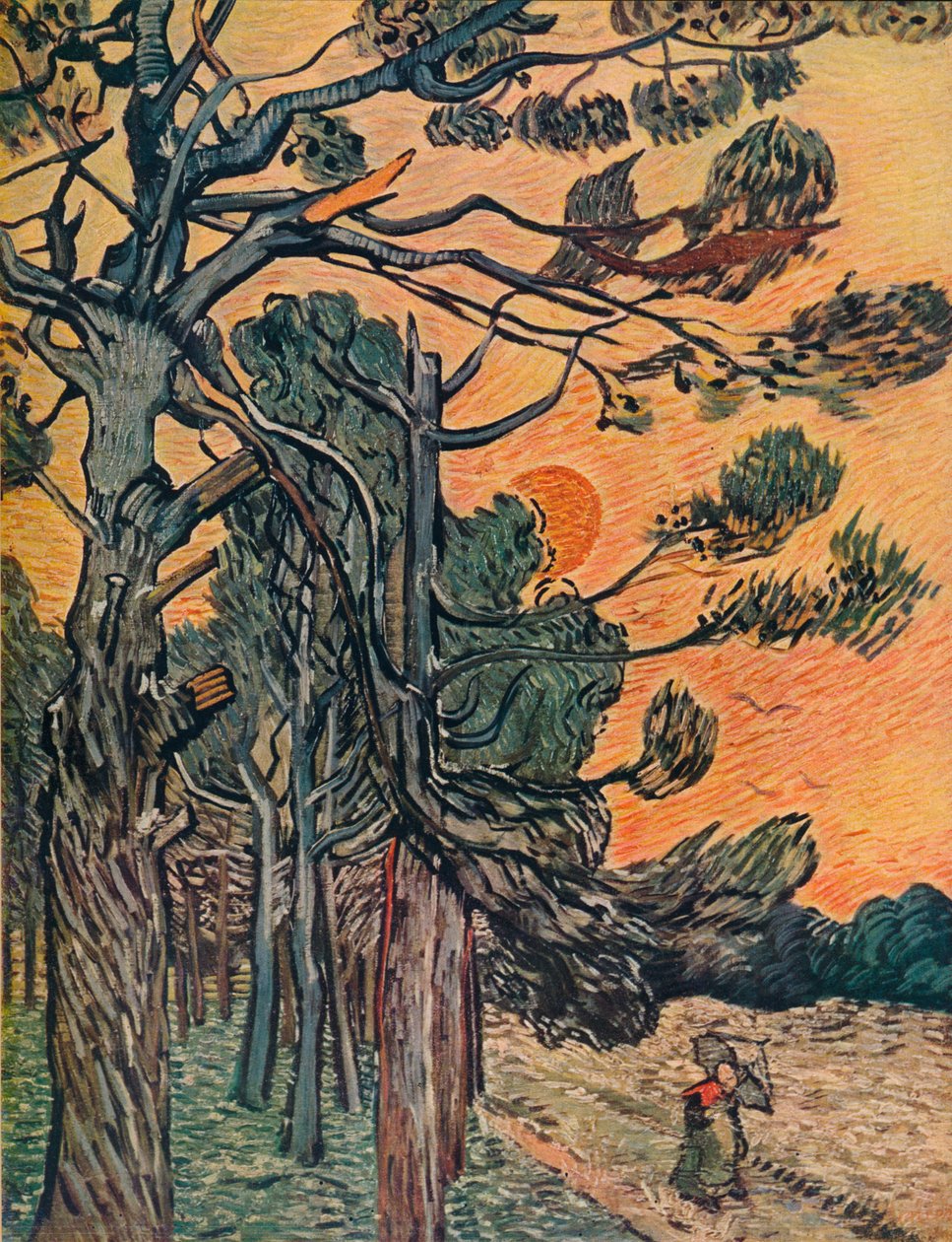 Jedlový les na konci dne, 1889 od Vincent van Gogh
