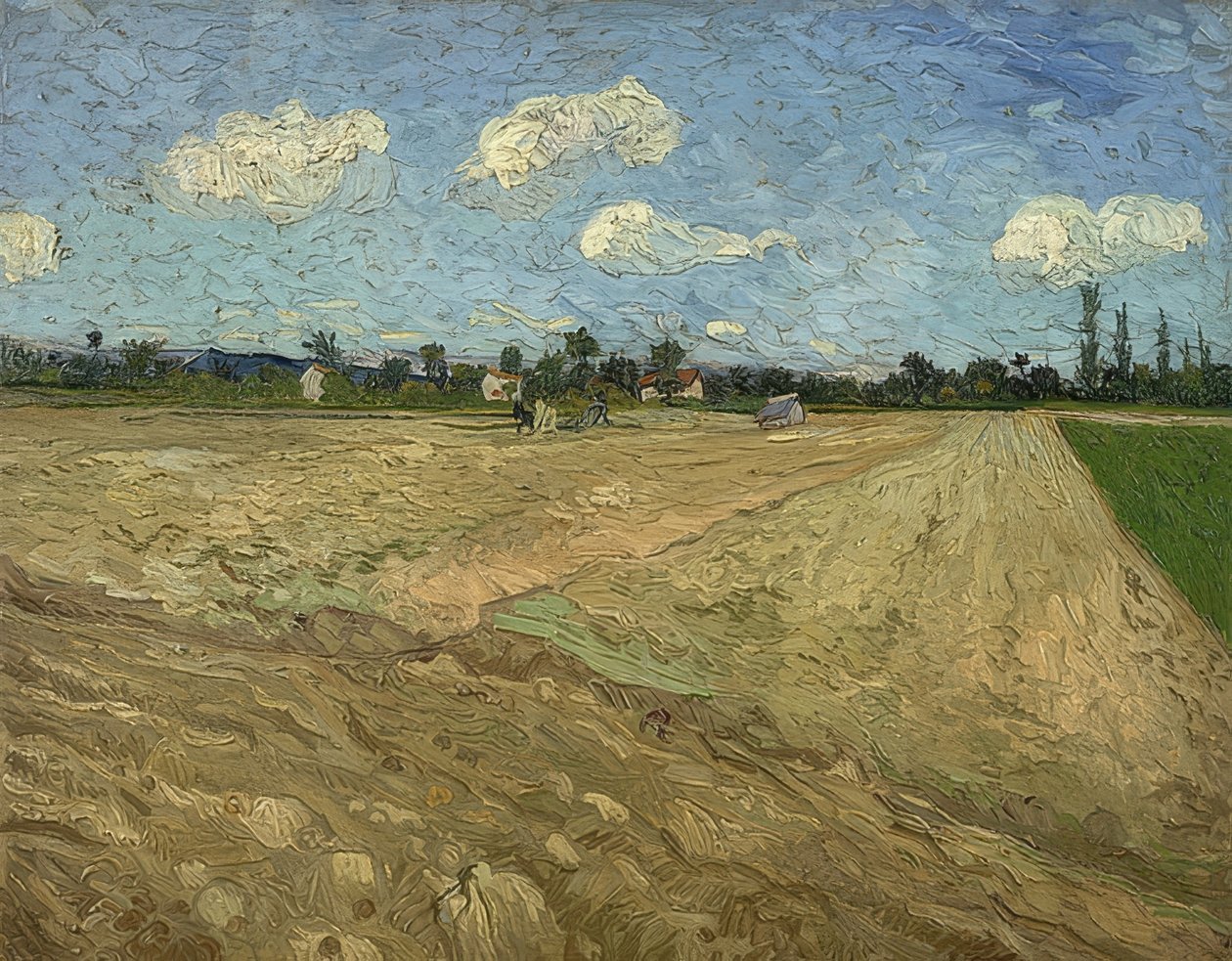Orané pole (brázdy). 1888 od Vincent van Gogh