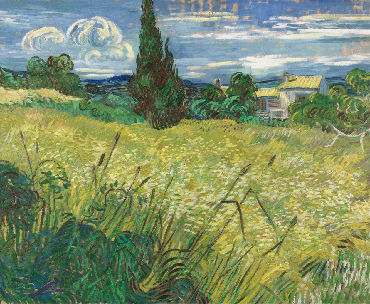 Zelené pšeničné pole s cypřišem od Vincent van Gogh