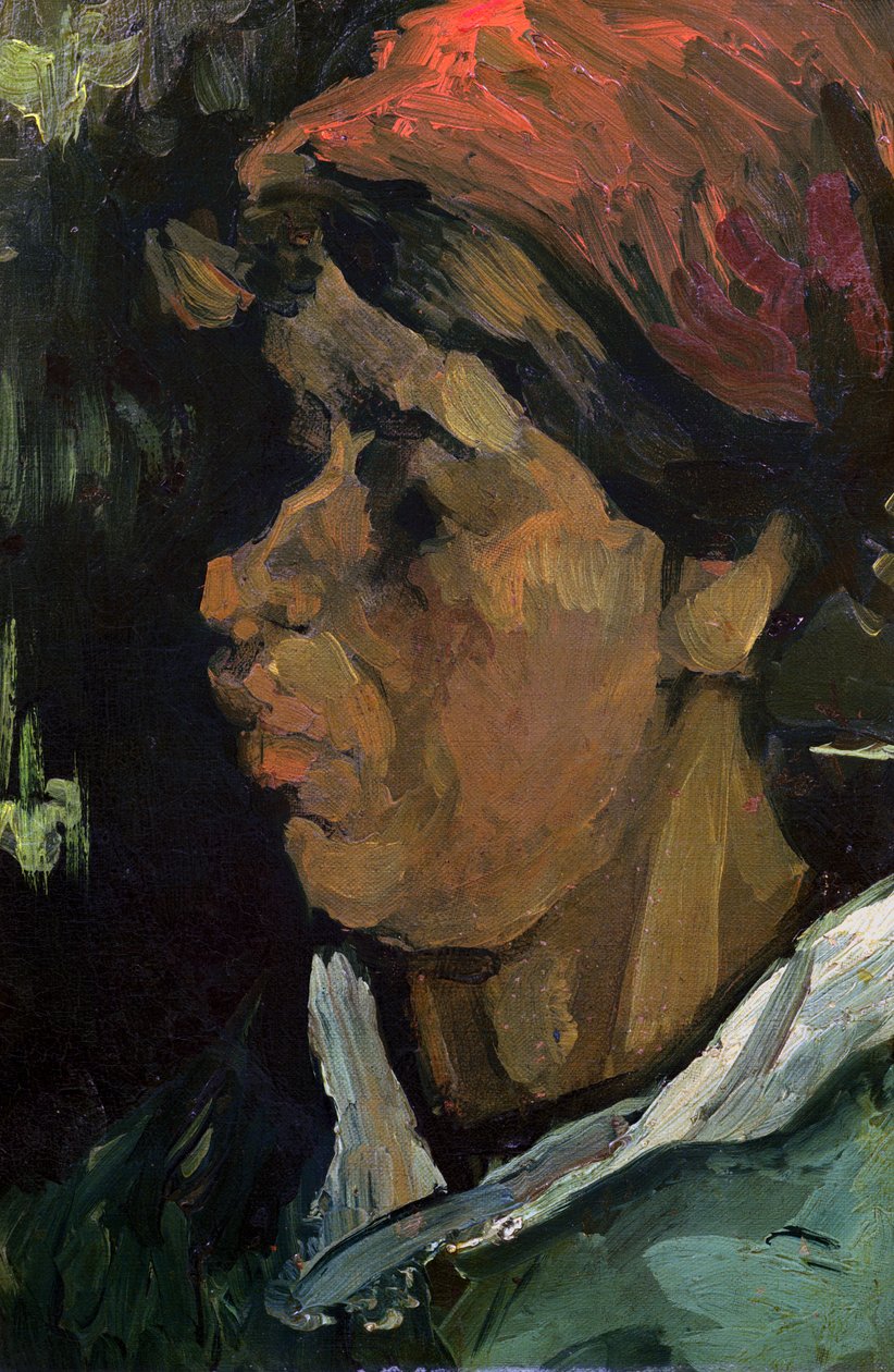 Hlava holandského rolníka, 1884 od Vincent van Gogh