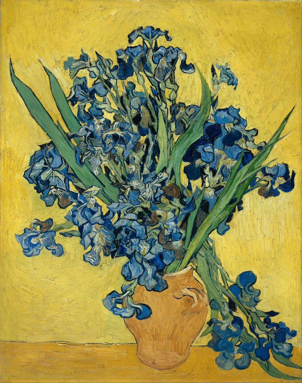 Kosatce od Vincent van Gogh