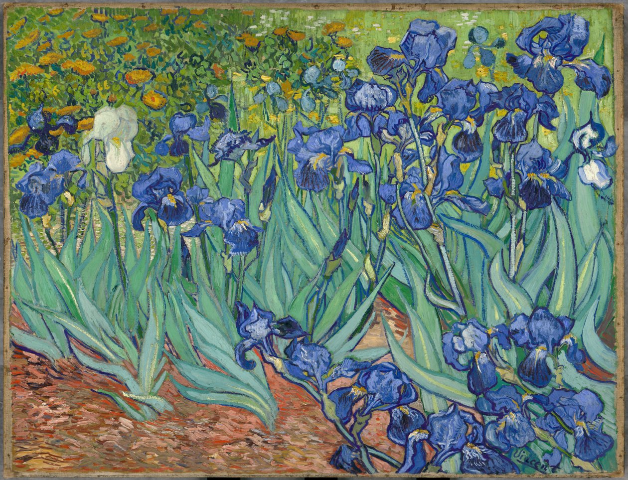 Kosatce od Vincent van Gogh