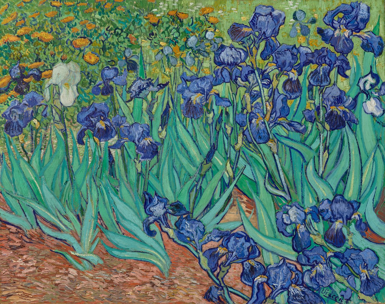 Kosatce od Vincent van Gogh