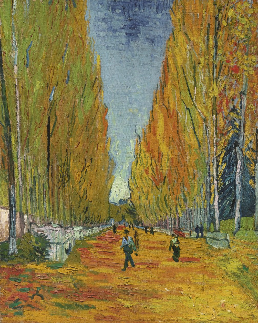 Alley of Alyscamps, 1888 od Vincent van Gogh