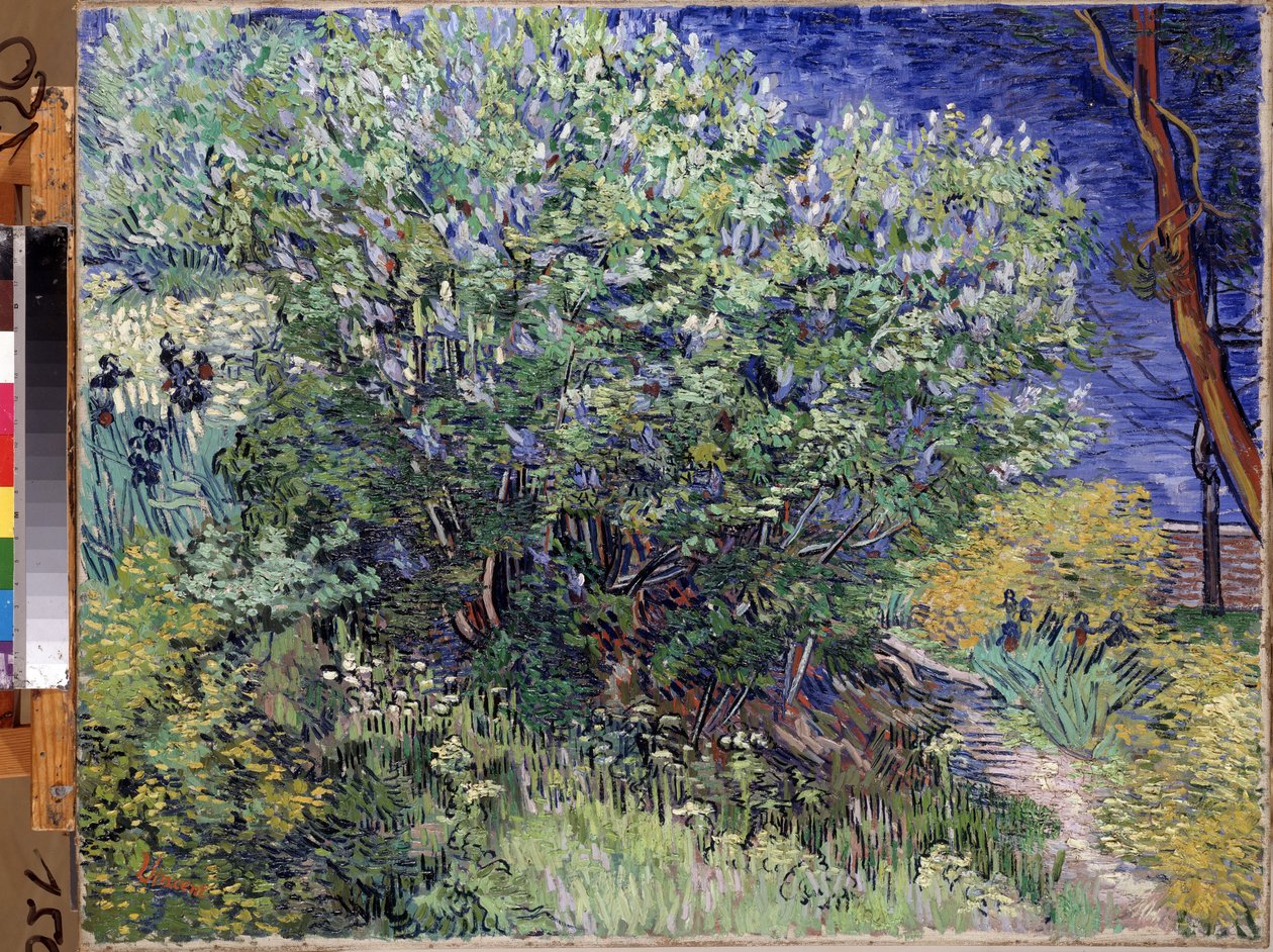""Šeříkový keř"" (Šeříkový keř) Obraz Vincenta van Gogha (1853-1890) 1889 Rozměr 72x92 cm Muzeum Ermitáž, Petrohrad (Saint-Petersburg) od Vincent van Gogh