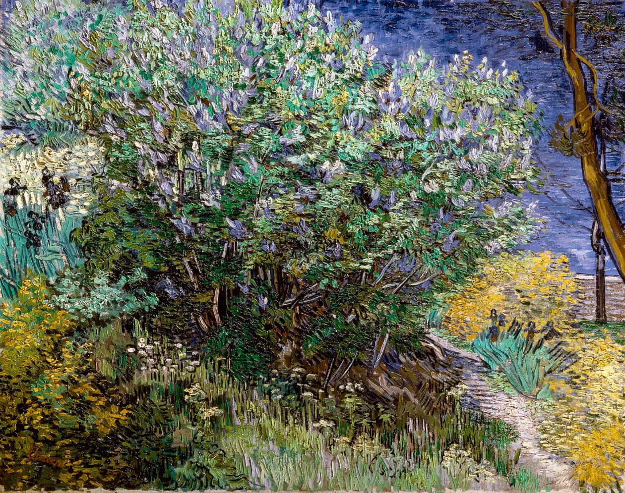 Šeříkový keř. Vincent VAN GOGH (1853-1890) od Vincent van Gogh