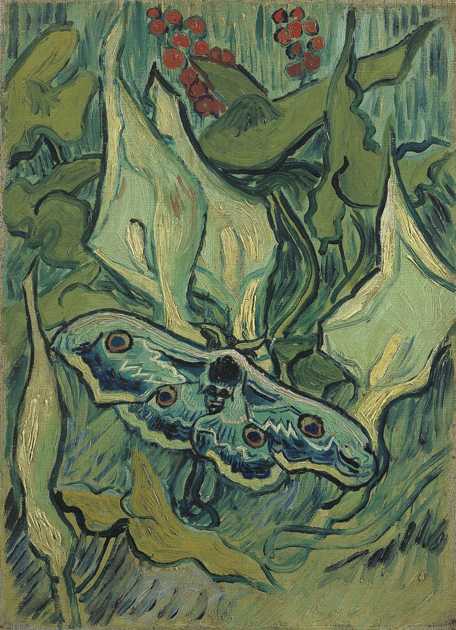 Velký zelený páv (Sfinga Smrtihlav) - obraz Vincenta van Gogha (1853-1890), olej na plátně (33,5x24,5 cm) od Vincent van Gogh