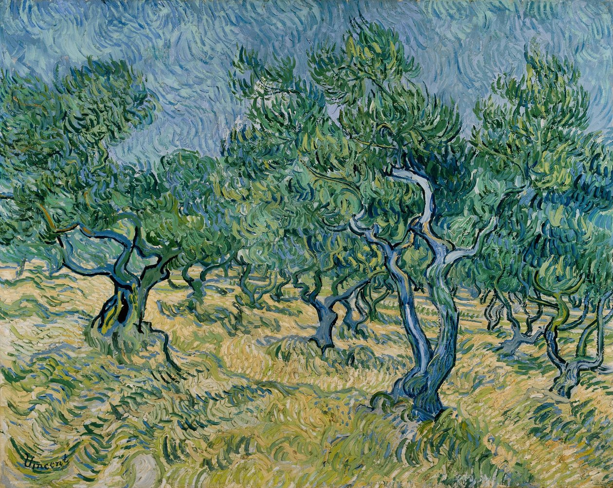 olivový háj od Vincent van Gogh
