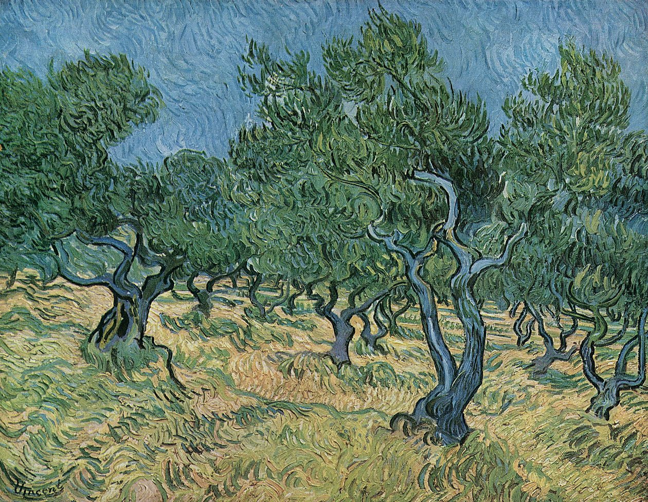 Olivový háj od Vincent van Gogh